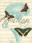 Picture of PAPILLON MELANGE IV
