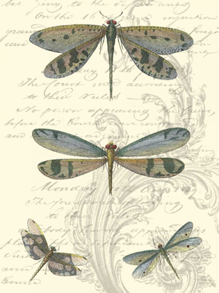 Picture of DRAGONFLY DELIGHT I