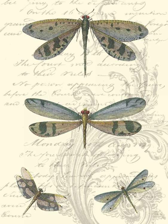 Picture of DRAGONFLY DELIGHT I