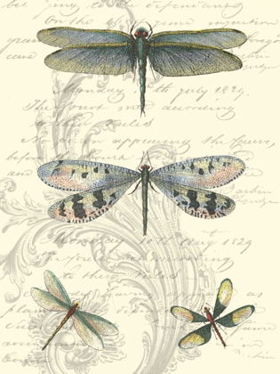 Picture of DRAGONFLY DELIGHT II