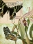 Picture of NATURES TAPESTRY IV