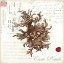 Picture of SMALL ROMANCE DU MER III