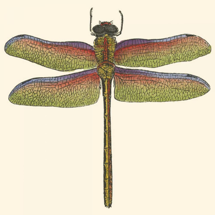 Picture of MINIATURE DRAGONFLY III