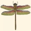 Picture of MINIATURE DRAGONFLY III