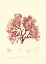 Picture of NATURE PRINT IN CORAL II