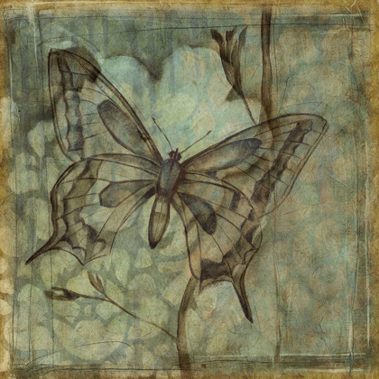 Picture of SMALL ETHEREAL WINGS IV