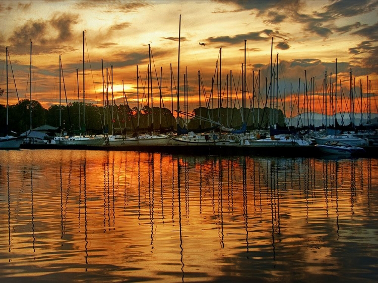 Picture of MARINA SUNRISE III