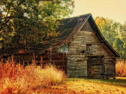 Picture of BARN LOFT MEMORIES