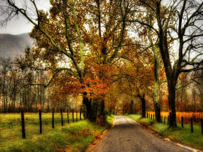 Picture of RAINY MORNING ON SPARKS LANE