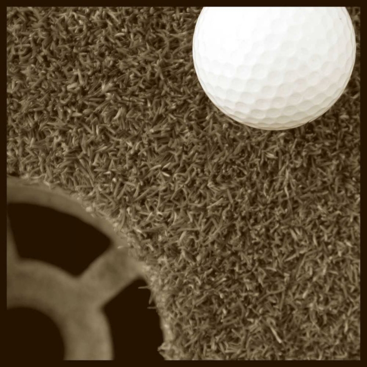 Picture of SEPIA GOLF BALL STUDY II
