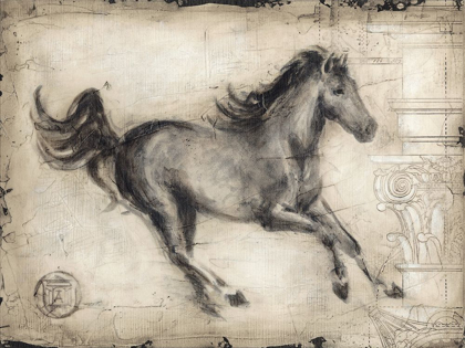 Picture of ROMAN HORSE I