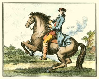 Picture of EQUESTRIAN TRAINING IV