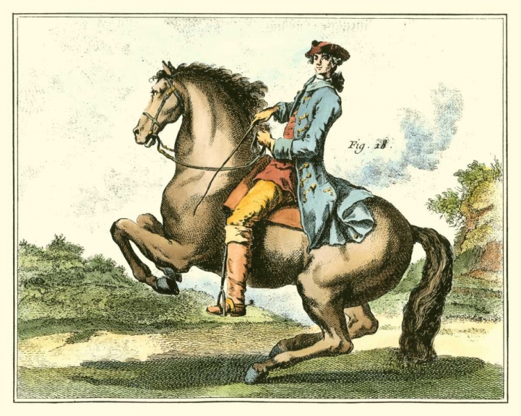 Picture of EQUESTRIAN TRAINING IV