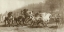 Picture of HORSE FAIR