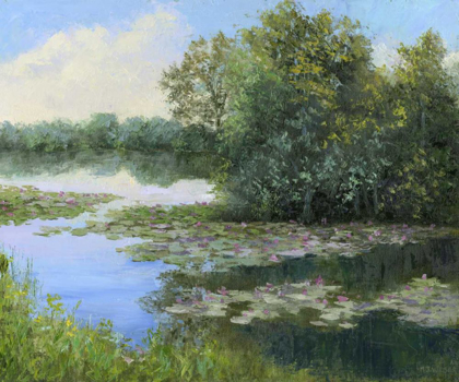 Picture of WATER LILY POND