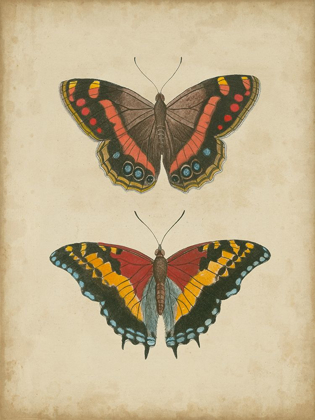 Picture of ANTIQUE BUTTERFLY PAIR IV