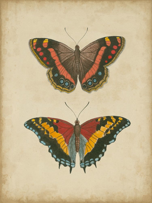 Picture of ANTIQUE BUTTERFLY PAIR IV