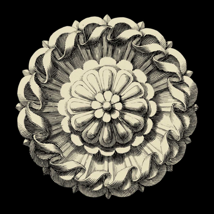 Picture of BLACK AND TAN ROSETTE IV