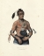 Picture of A WINNEBAGO CHIEF