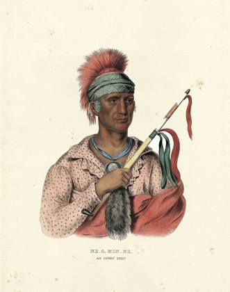 Picture of AN IOWAY CHIEF