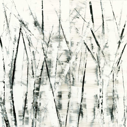 Picture of BIRCHES II