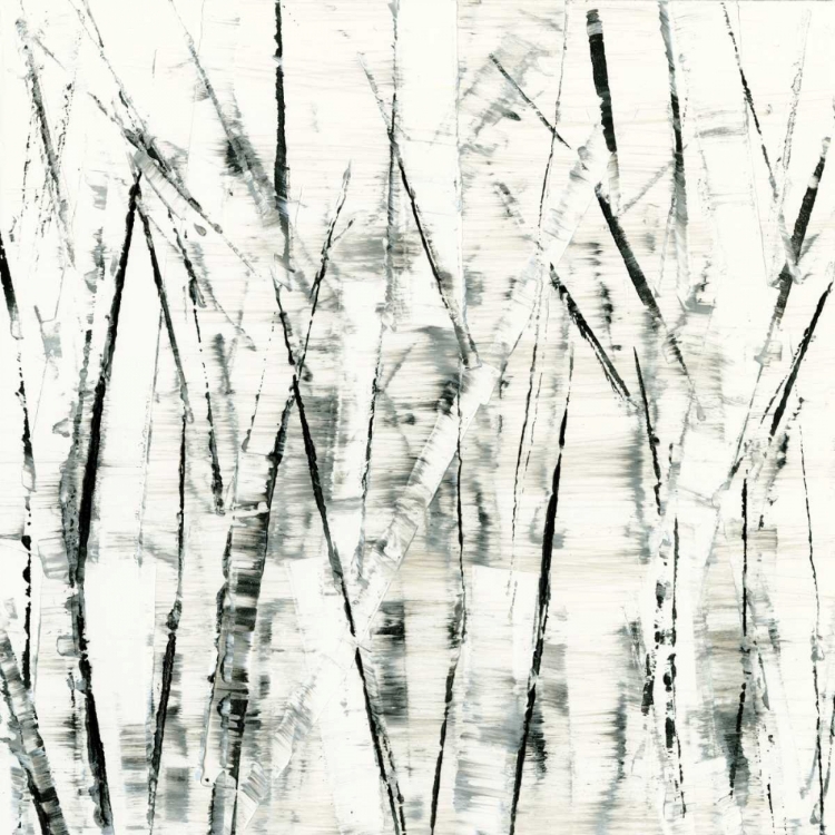 Picture of BIRCHES II