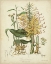 Picture of TWINING BOTANICALS VII