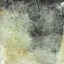 Picture of ASCENSION I