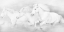 Picture of ALL THE WHITE HORSES