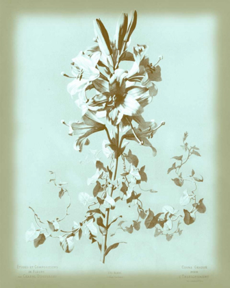 Picture of DUSSURGEY LILIUM ON BLUE