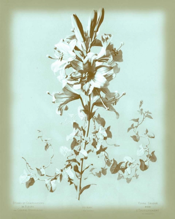 Picture of DUSSURGEY LILIUM ON BLUE
