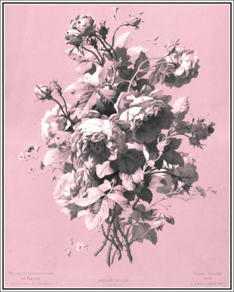 Picture of DUSSURGEY ROSES ON PINK
