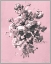 Picture of DUSSURGEY ROSES ON PINK