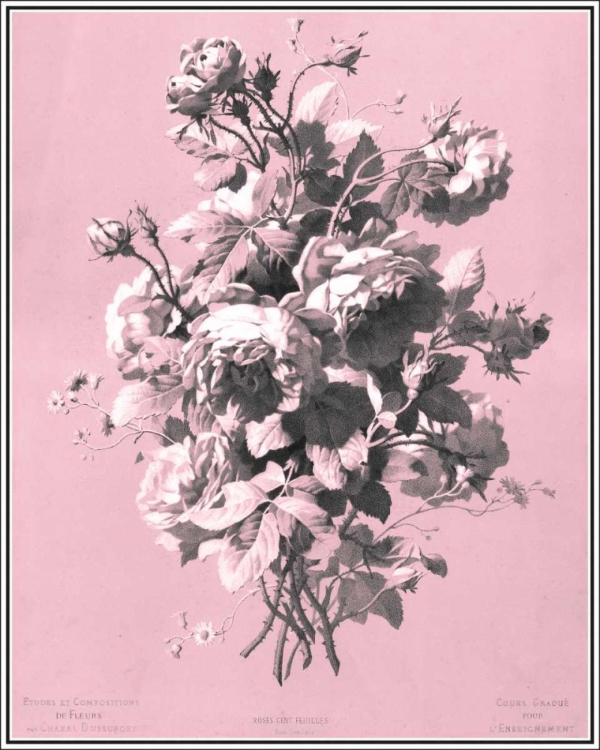 Picture of DUSSURGEY ROSES ON PINK