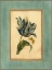 Picture of CRACKLED SPA BLUE TULIP II