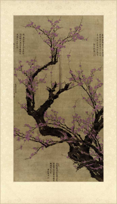 Picture of PLUM BLOSSOM TREE