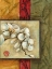 Picture of ASIAN ORCHIDS II