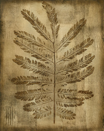 Picture of SEPIA DRENCHED FERN I