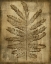 Picture of SEPIA DRENCHED FERN I
