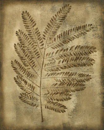 Picture of SEPIA DRENCHED FERN II
