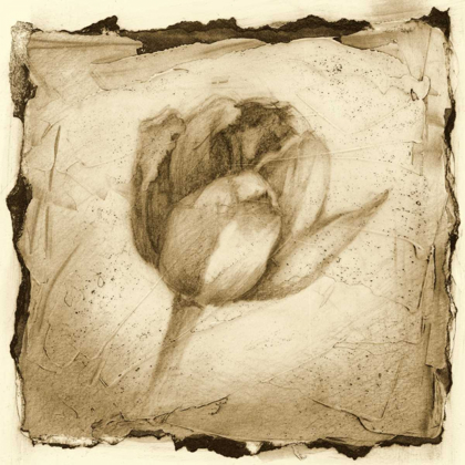 Picture of FLORAL IMPRESSION I