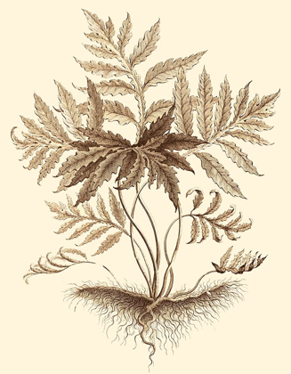 Picture of SEPIA MUNTING FOLIAGE IV