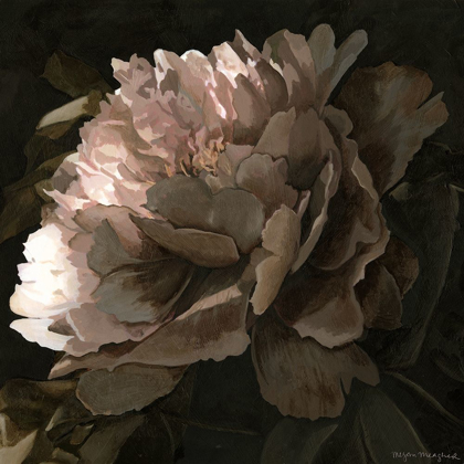 Picture of MOONLIT PEONY II