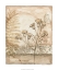 Picture of TWILIGHT MEADOW I