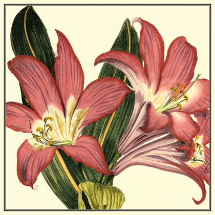 Picture of POETIC BLOSSOMS IV