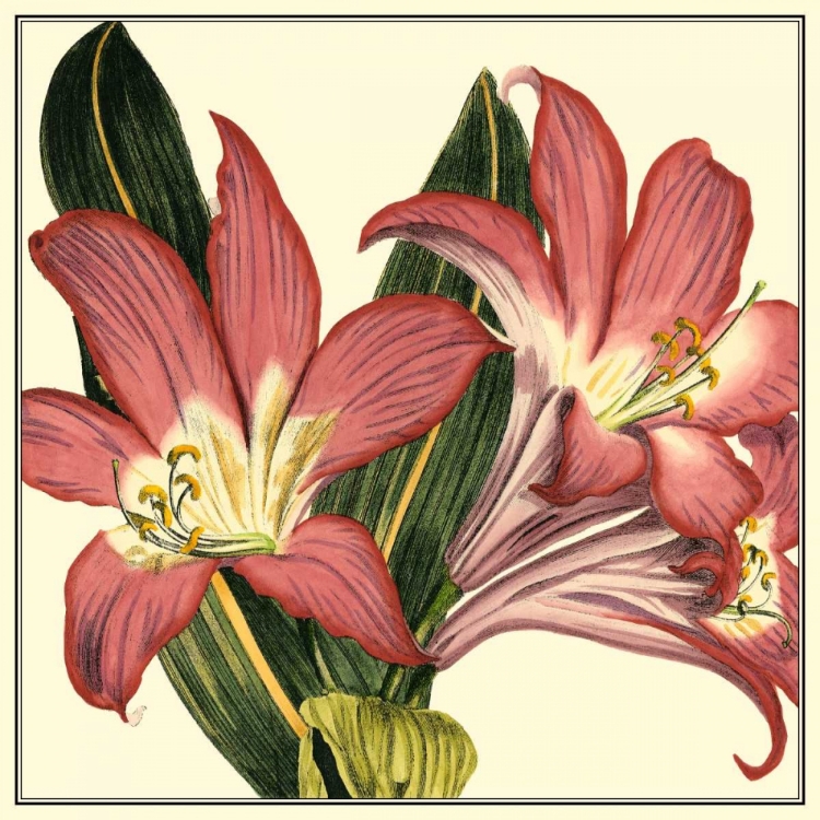Picture of POETIC BLOSSOMS IV