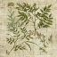 Picture of GARDEN VERSES II