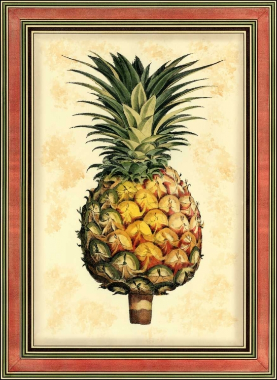 Picture of PINEAPPLE SPLENDOR I