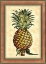 Picture of PINEAPPLE SPLENDOR II