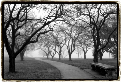 Picture of FOGGY MORNING WALK